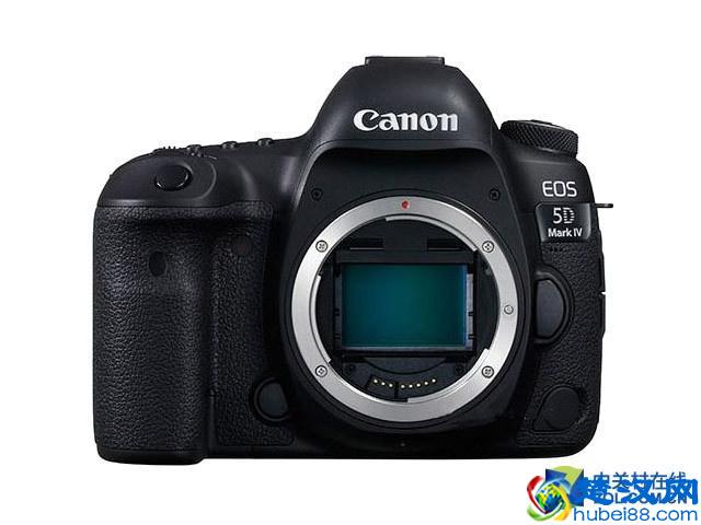 注意！全是坑！摄影新手如何选单反相机