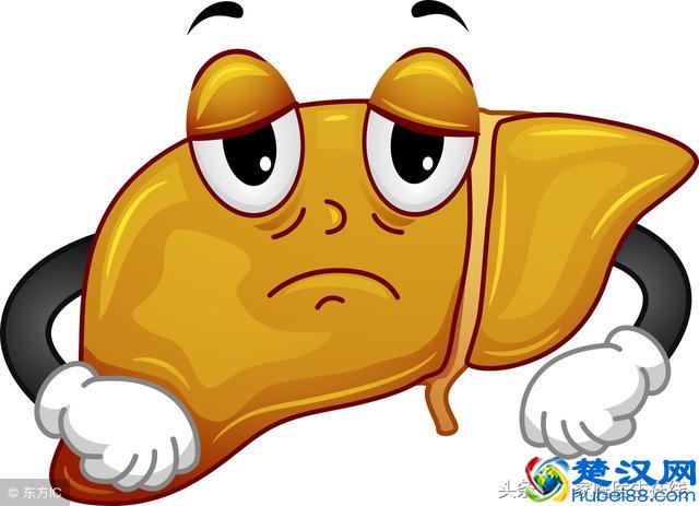 脂肪肝患者可以多吃这5种水果，每一种都是脂肪肝“克星”