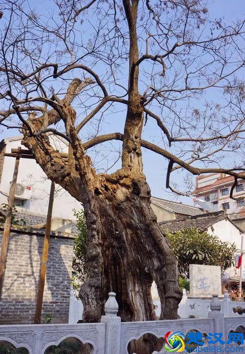 汤显祖：良辰美景奈何天，赏心乐事谁家院（上）韦力撰