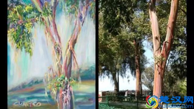 为什么光的三原色是红绿蓝，绘画的三原色又成了红黄蓝？