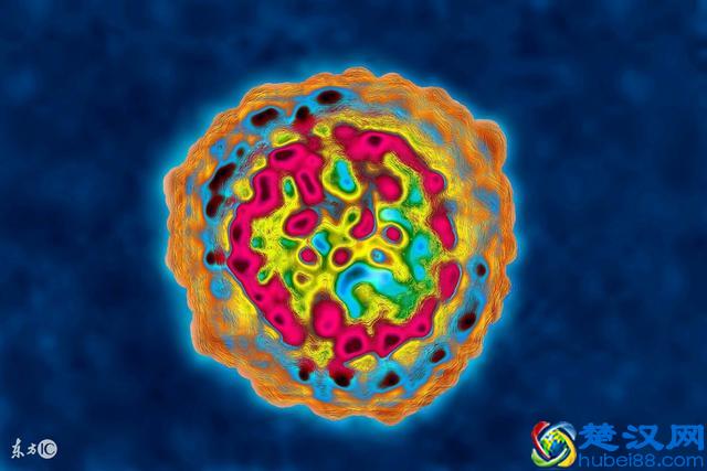 片仔癀不是“救命神丸”！肿瘤专家：这么吃才对