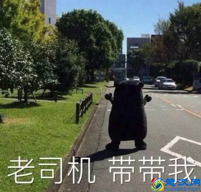 老司机到底是啥意思？