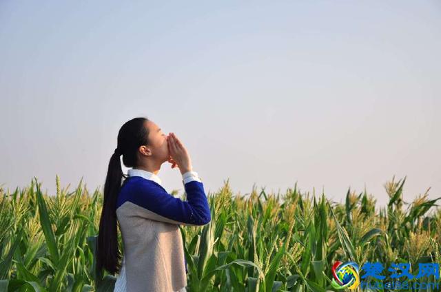 虚荣心是什么？其实是一种对赞扬的渴望