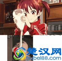 毫无违和感是什么梗 出处及内涵解析