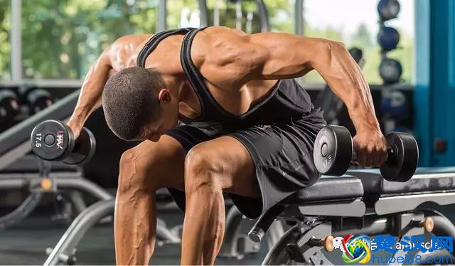 肩宽穿短袖才好看！哪七大法宝改善“窄肩”？