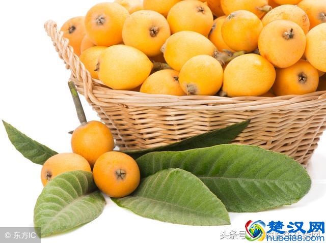 枇杷取叶泡水喝，4大功效享用不尽，很多人却当垃圾扔了！