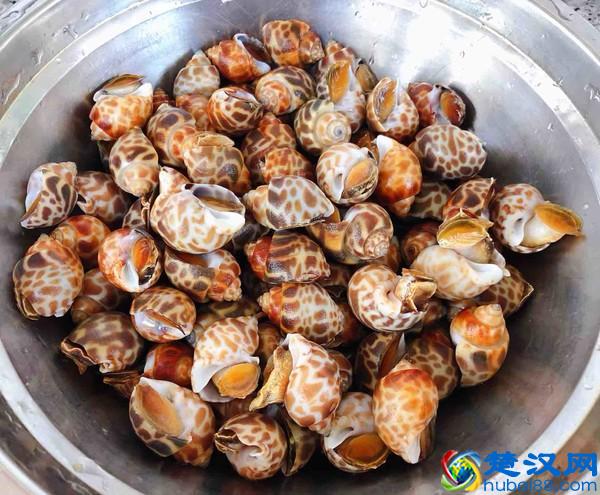 美味的花螺的做法