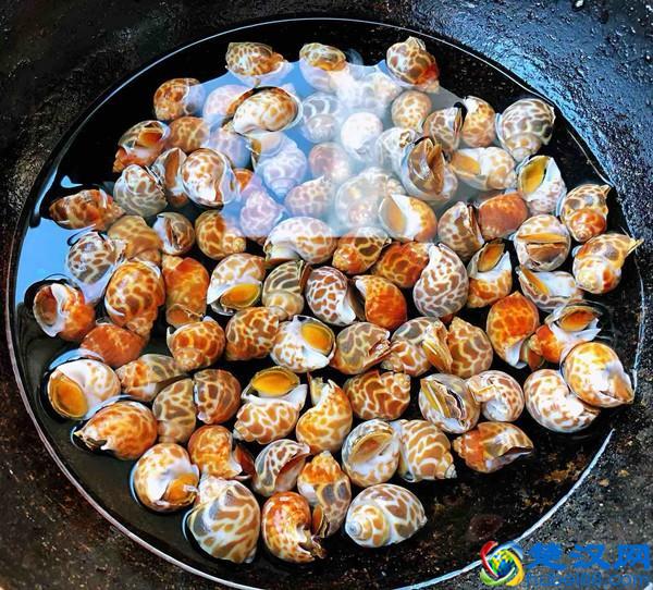 美味的花螺的做法