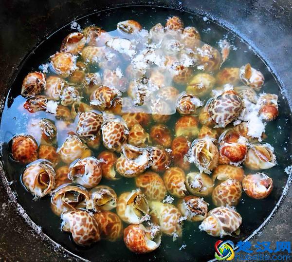 美味的花螺的做法