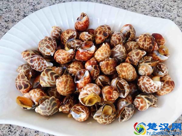 美味的花螺的做法