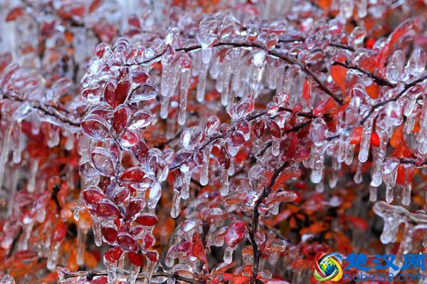 科普：到底什么是冻雨？为什么它可怕？