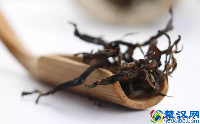 茶文|金凤柳叶眉红茶（优秀散文推荐）