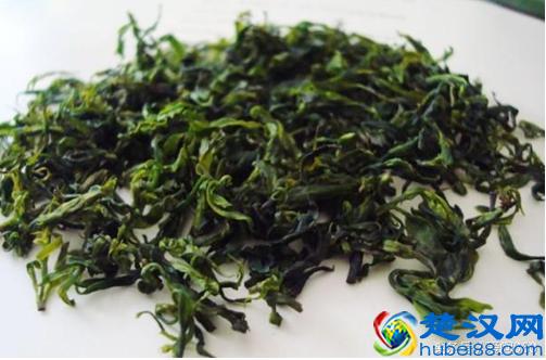 常喝苦丁茶有什么好处？怎么泡最有价值？