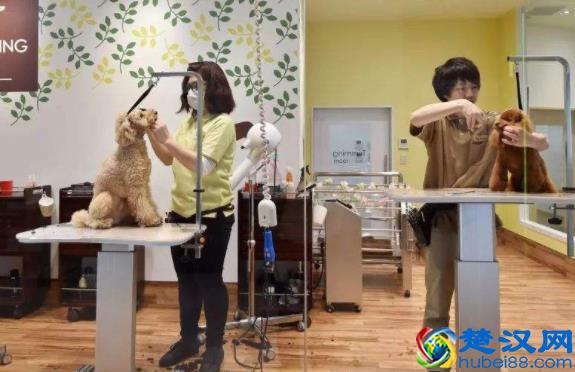 加盟好项目，适合年轻人的低成本项目