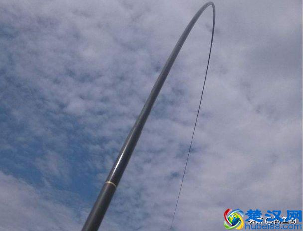 鱼竿该买什么牌子？老钓手帮你分类，既省钱又能买到好货！