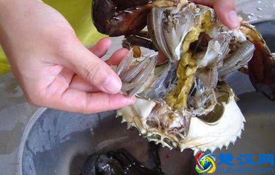 如何清洗螃蟹内脏 清洗螃蟹的三大步骤