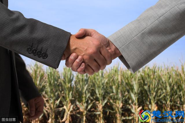 农业产业化经营的组织模式