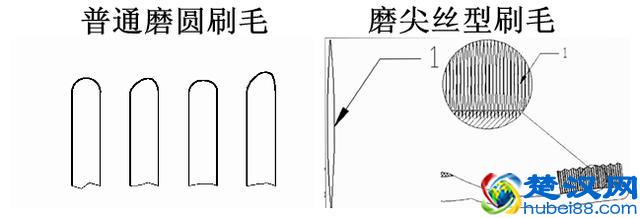 5款儿童电动牙刷测评：哪款清洁能力更强？