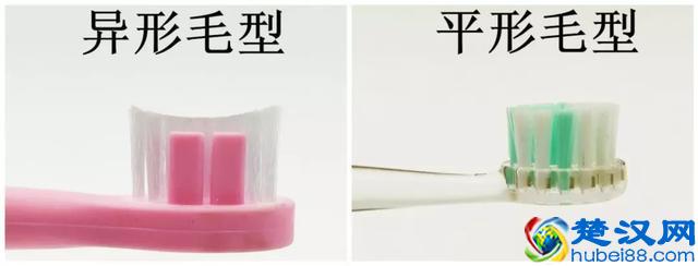 5款儿童电动牙刷测评：哪款清洁能力更强？