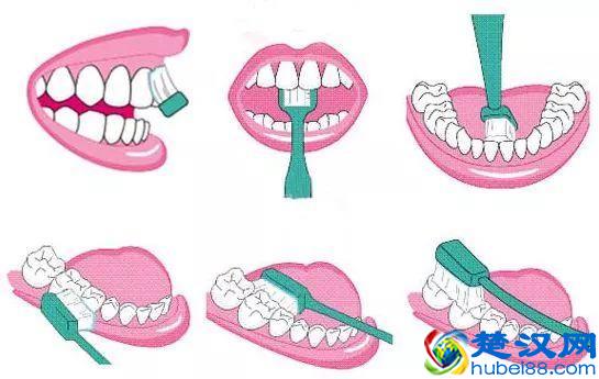 5款儿童电动牙刷测评：哪款清洁能力更强？