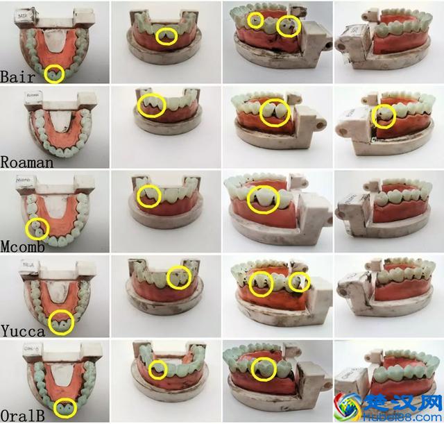 5款儿童电动牙刷测评：哪款清洁能力更强？