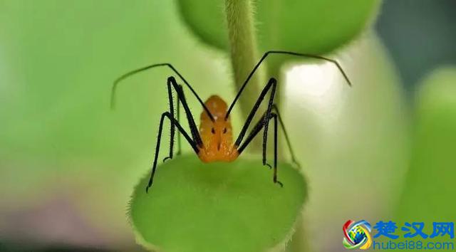 零基础如何学好英语？