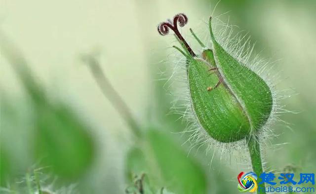 零基础如何学好英语？