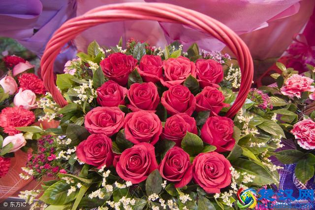 情人节要送多少朵玫瑰花？花的数量都代表什么意思