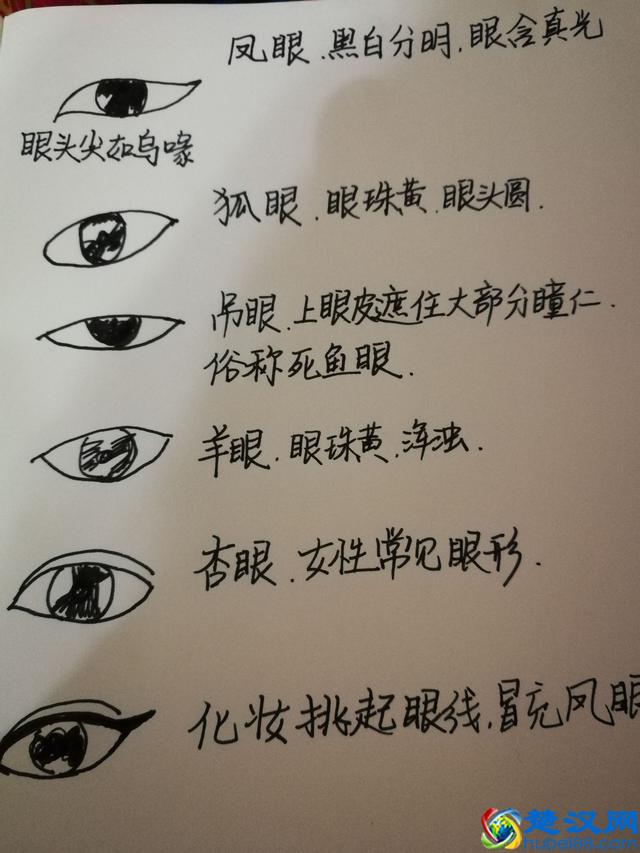 一张图告诉你什么是丹凤眼