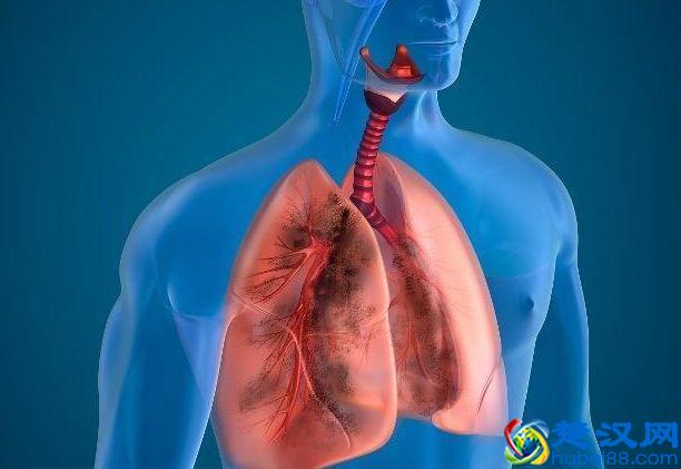 早上金苹果，下午银苹果，晚上毒苹果？什么时间吃苹果才合适？