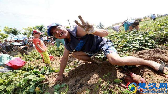 农村这两个特色产业，3年内将会崛起，抓住机遇会发展的好