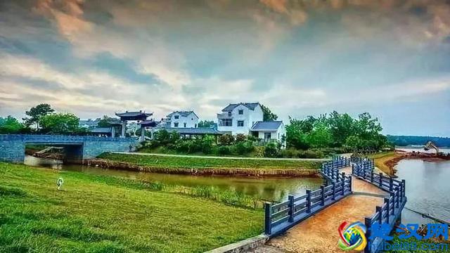 农村这两个特色产业，3年内将会崛起，抓住机遇会发展的好