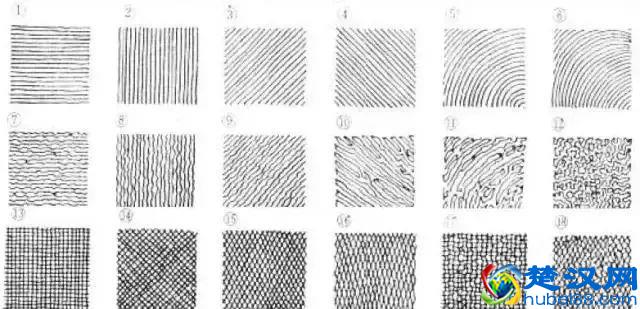 这个很详细，关于素描排线你知多少？