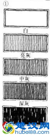 这个很详细，关于素描排线你知多少？
