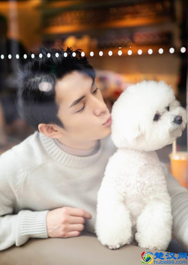 我们盘点一下2019网络红人