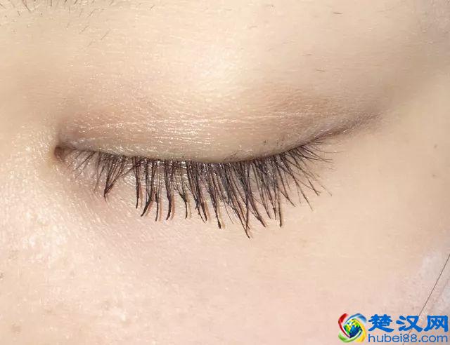 8款热门睫毛膏专业测评，Angelababy 最爱的睫毛膏居然垫底了！