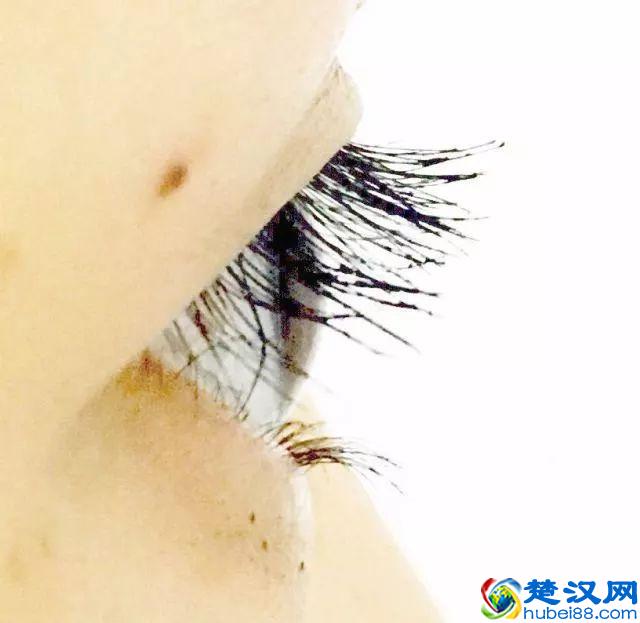 8款热门睫毛膏专业测评，Angelababy 最爱的睫毛膏居然垫底了！