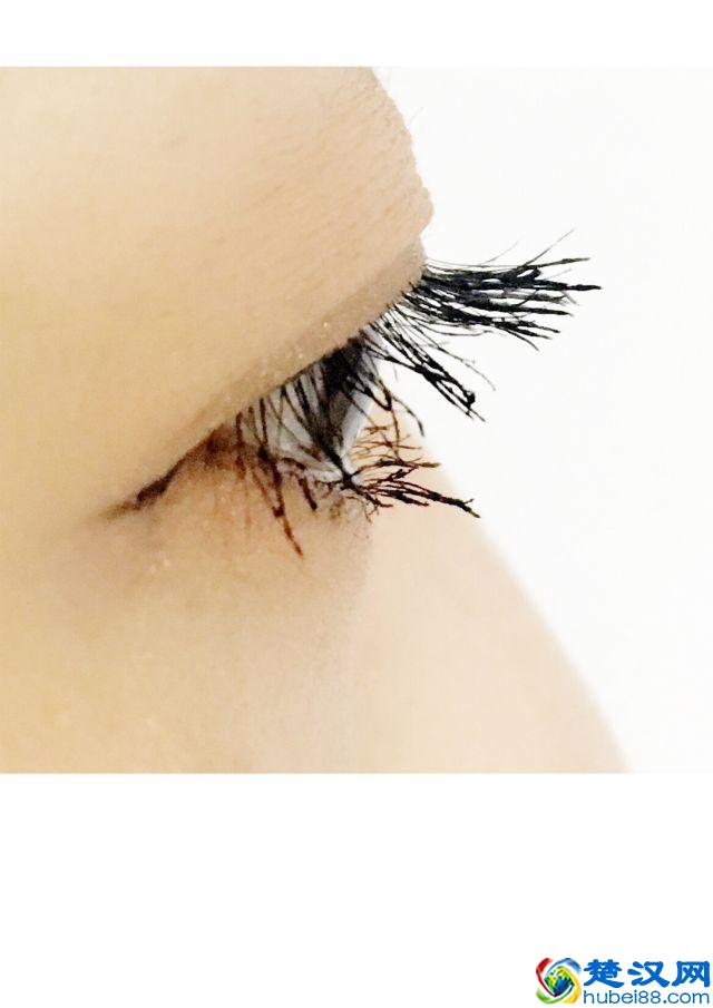 8款热门睫毛膏专业测评，Angelababy 最爱的睫毛膏居然垫底了！