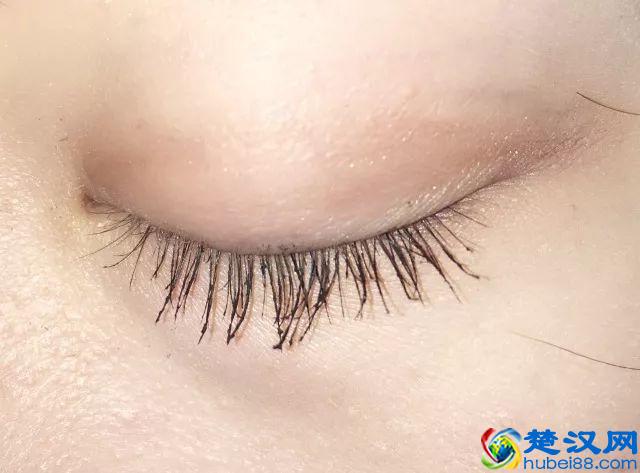 8款热门睫毛膏专业测评，Angelababy 最爱的睫毛膏居然垫底了！