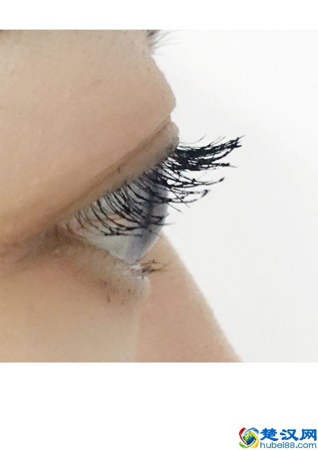 8款热门睫毛膏专业测评，Angelababy 最爱的睫毛膏居然垫底了！