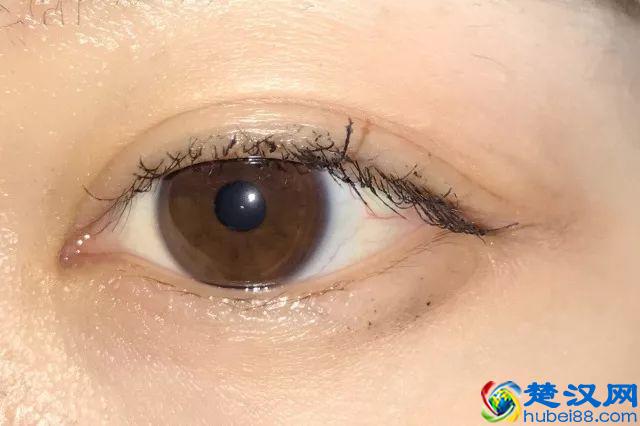 8款热门睫毛膏专业测评，Angelababy 最爱的睫毛膏居然垫底了！