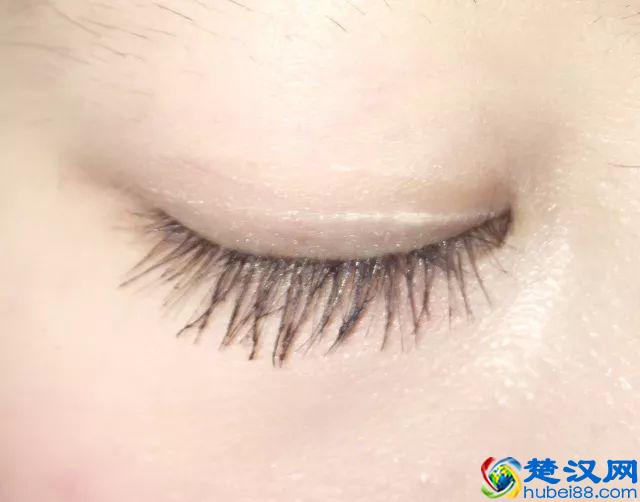 8款热门睫毛膏专业测评，Angelababy 最爱的睫毛膏居然垫底了！