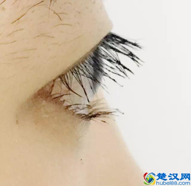 8款热门睫毛膏专业测评，Angelababy 最爱的睫毛膏居然垫底了！