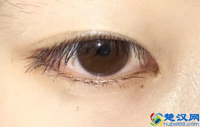 8款热门睫毛膏专业测评，Angelababy 最爱的睫毛膏居然垫底了！