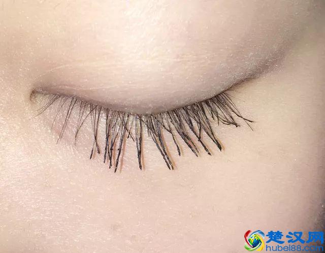 8款热门睫毛膏专业测评，Angelababy 最爱的睫毛膏居然垫底了！