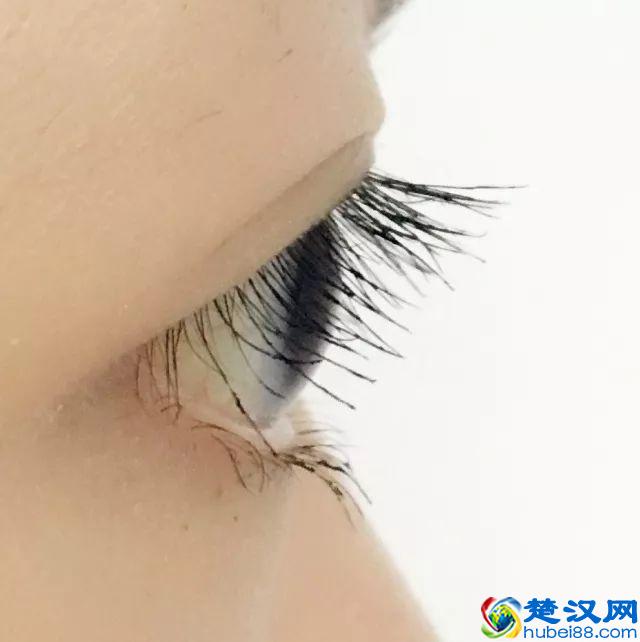 8款热门睫毛膏专业测评，Angelababy 最爱的睫毛膏居然垫底了！