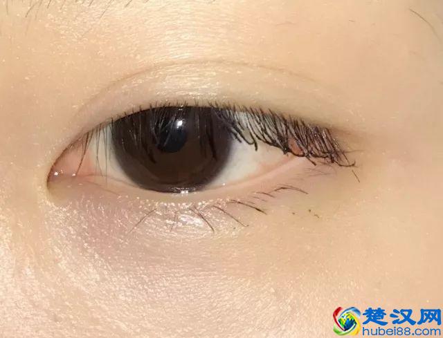 8款热门睫毛膏专业测评，Angelababy 最爱的睫毛膏居然垫底了！