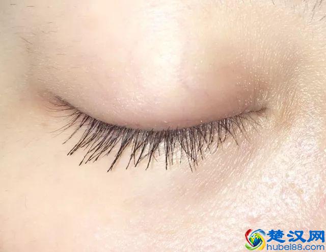 8款热门睫毛膏专业测评，Angelababy 最爱的睫毛膏居然垫底了！