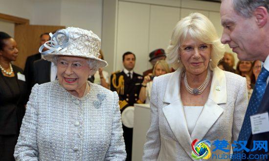 表面平静的英国皇室，其实皇室成员彼此之间非常的复杂！