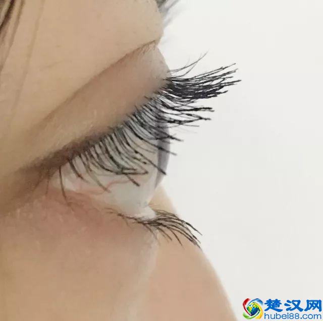 8款热门睫毛膏专业测评，Angelababy 最爱的睫毛膏居然垫底了！